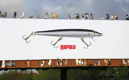Rapala Billboard Advertising